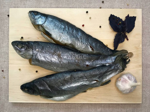 Луковые кольца 